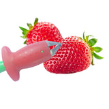 Red Strawberry Huller