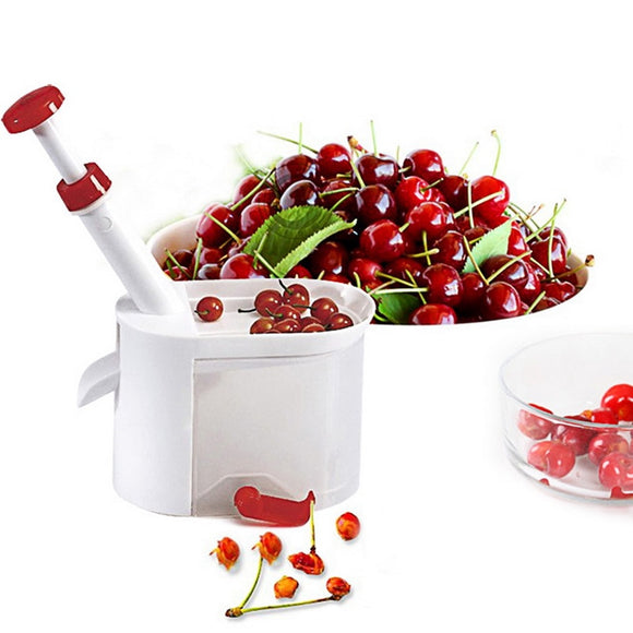 Cherry Seed Remover